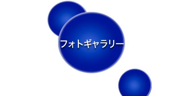 フォトギャラリー